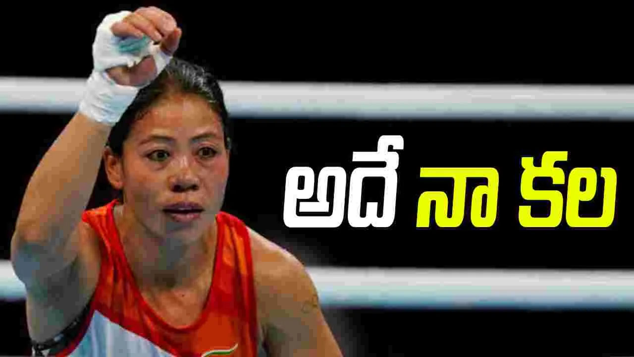 ప్రొఫెషనల్ బాక్సింగ్‌లోకి మేరీకోమ్! 