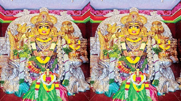 మావుళ్లమ్మ స్వర్ణ ప్రాజెక్టు కమిటీ ఏర్పాటు