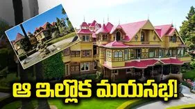 ఆ ఇల్లొక మయసభ!
