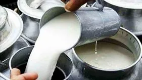 రాజమండ్రి కల్తీ పాల ఘటనలో పెరిగిన మృతుల సంఖ్య 