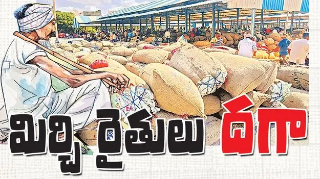 మిర్చి రైతులు దగా 