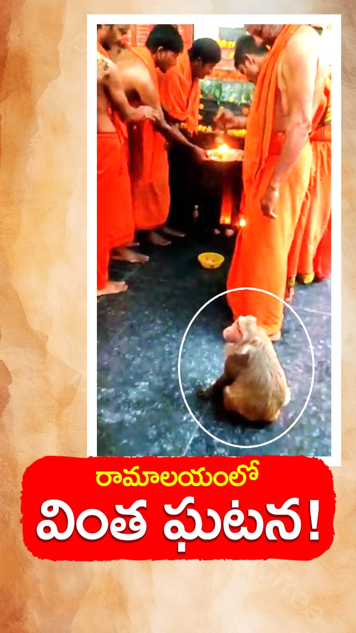 ABN Andhrajyothy Telugu Short News Video - Quick News Updates in 60 Seconds