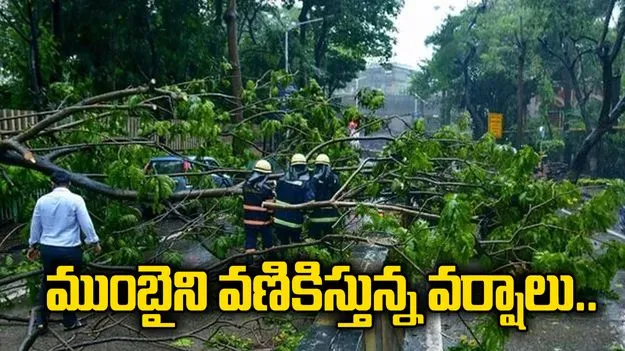 ముంబైని వణికిస్తున్న వర్షాలు.. చెట్టు కూలి ఓ వ్యక్తి మృతి.. 