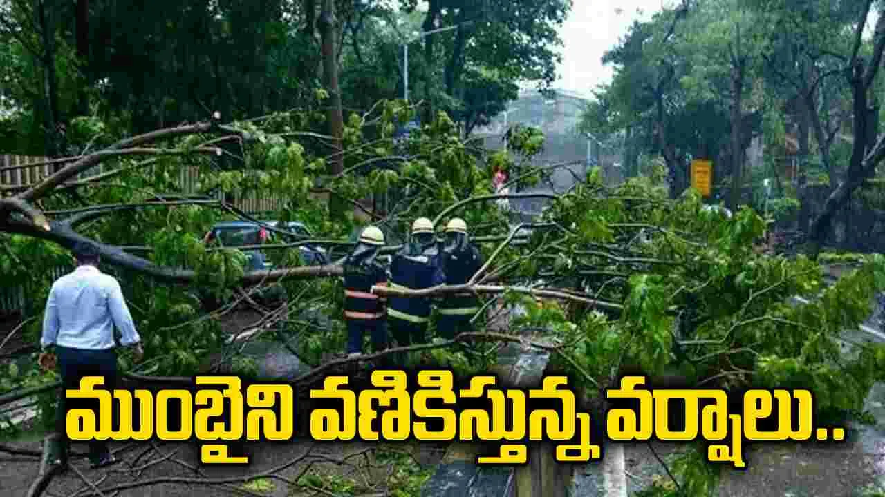 ముంబైని వణికిస్తున్న వర్షాలు.. చెట్టు కూలి ఓ వ్యక్తి మృతి..