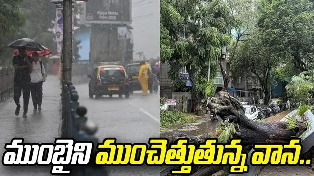 ముంబైలో కొనసాగుతున్న భారీ వర్షాలు.. రెడ్ అలర్ట్ జారీ చేసిన ఐఎండీ.. 