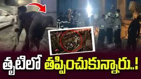 ప్రమాదవశాత్తూ గుంతలో పడిపోయిన 8 మంది.. ఏం జరిగిందంటే..