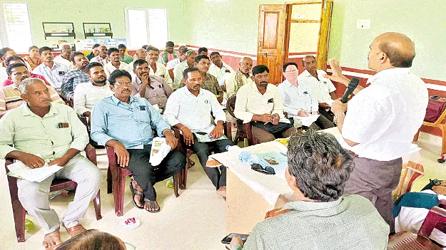 పచ్చిరొట్ట ఎరువుకు ప్రాధాన్యం ఇవ్వాలి
