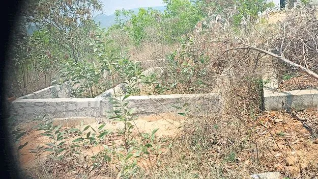 పేరు మార్చి... ఏమార్చి!