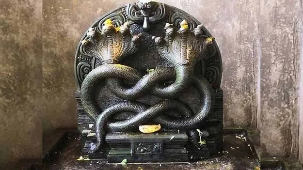 ఆగస్టు 17న నాగ పంచమి.. సుబ్రహ్మణ్యస్వామిని ఇలా పూజిస్తే విశేష ఫలితాలు!