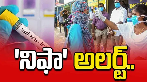కేరళలో 'నిఫా' కలకలం..  తమిళనాడు అలర్ట్.. సరిహద్దుల్లో మెడికల్ క్యాంప్‌లు, ఆంక్షలు