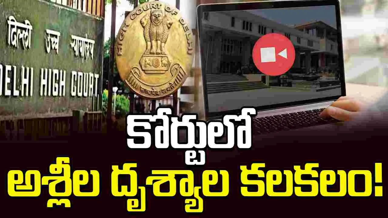 ఢిల్లీ హైకోర్టు ఆన్ లైన్ విచారణలో అశ్లీల దృశ్యాల కలకలం.. నిలిచిపోయిన కోర్టు కార్యకలాపాలు