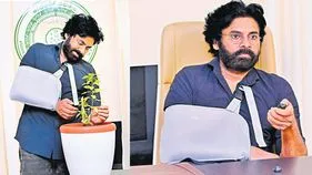 తూర్పు కనుమల్లో అరుదైన మొక్క