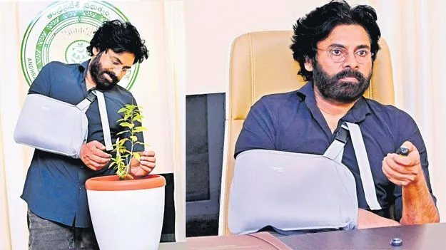 తూర్పు కనుమల్లో అరుదైన మొక్క