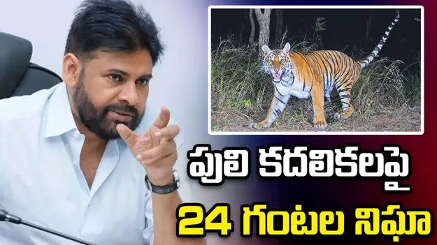 పులి సంచారంపై హై అలర్ట్.. పవన్ కళ్యాణ్ కీలక ఆదేశాలు