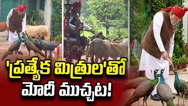 'ప్రత్యేక మిత్రుల'తో మోదీ ముచ్చట!