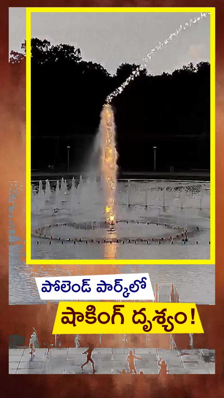 పోలెండ్ పార్క్‌లో షాకింగ్ దృశ్యం!