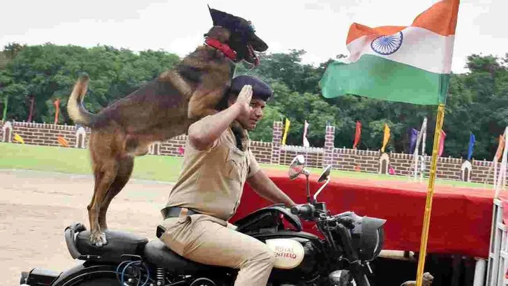 80వ స్వాతంత్య్ర దినోత్సవం సందర్భంగా ఆకట్టుకున్న డాగ్ స్క్వాడ్ విన్యాసాలు