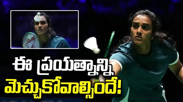 ప్రపంచ బ్యాడ్మింటన్ ఛాంపియన్‌షిప్: పావురాలు.. కోతుల బెడదకు చెక్ పెట్టేలా.. !