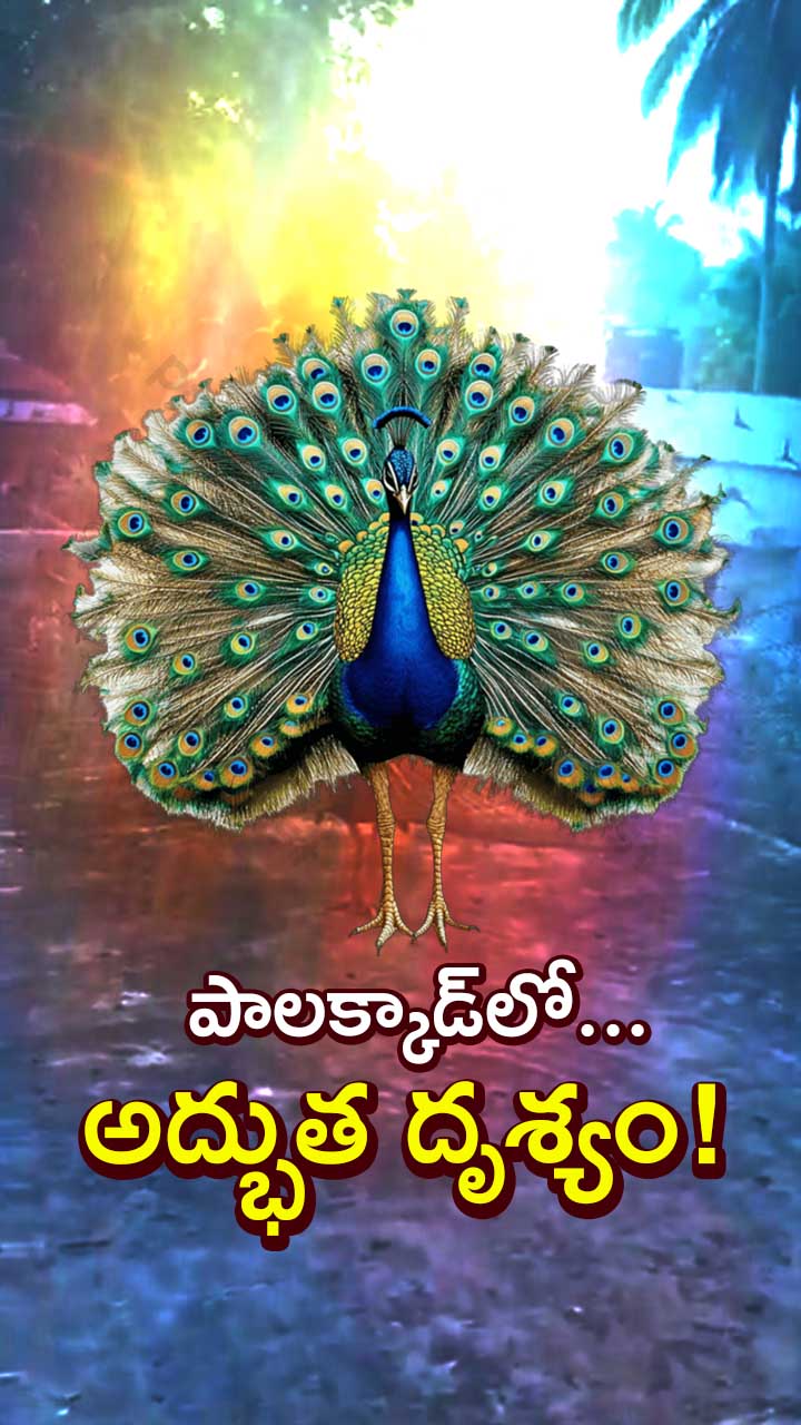 కేరళం వైరల్ వీడియో!