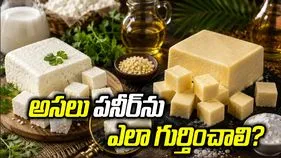 అసలు పనీర్‌కు, ఆర్టిఫిషియల్ పనీర్‌కు తేడా ఏంటి? ఎలా గుర్తించాలి?