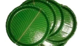 పేపర్ ప్లేట్‌లో తింటే క్యాన్సర్ వస్తుందా?