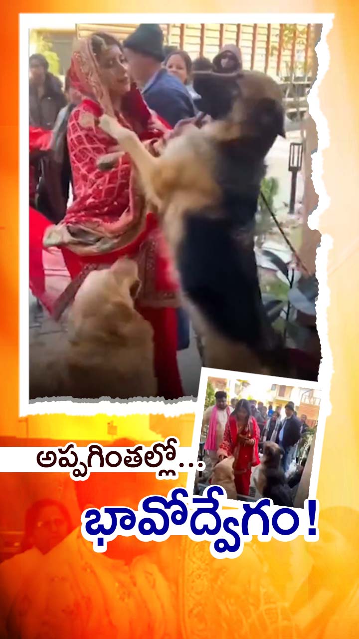 డెహ్రాడూన్‌లో పెళ్లికూతురు వీడ్కోలు వైరల్!