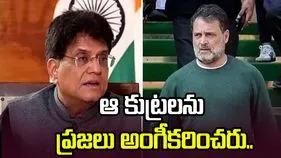 భారత్‌ను తగులబెట్టేందుకు ఇండియా కూటమి కుట్ర.. పీయూష్ గోయల్