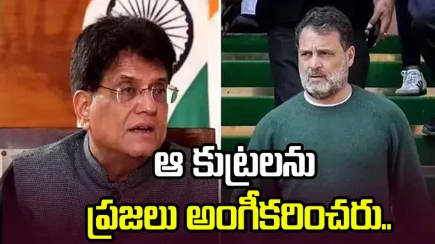 భారత్‌ను తగులబెట్టేందుకు ఇండియా కూటమి కుట్ర.. పీయూష్ గోయల్