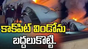 హైవేపై కూలిన విమానం.. కొంచెం ఆలస్యం అయితే అందరూ చనిపోయే వారు..
