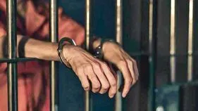 మొయినాబాద్‌ డ్రగ్స్‌ కేసు నిందితులకు పోలీస్‌ కస్టడీ