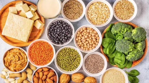 ప్రోటీన్ కోసం పనీర్ మాత్రమే కాదు.. ఇవి కూడా తినండి!