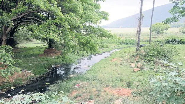 ముడసర్లోవ నీరు కలుషితం