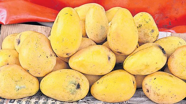 మధుర విషం