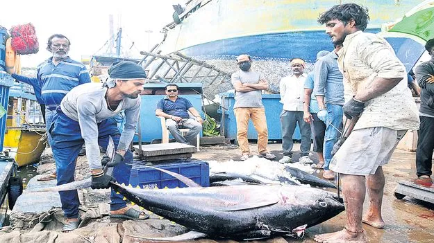 మత్స్య సంపద