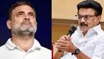రాహుల్ ఓ పెద్ద జోక్, రాజకీయ పరిపక్వత లేదు.. డీఎంకే విమర్శల దాడి