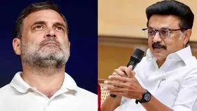 రాహుల్ ఓ పెద్ద జోక్, రాజకీయ పరిపక్వత లేదు.. డీఎంకే విమర్శల దాడి