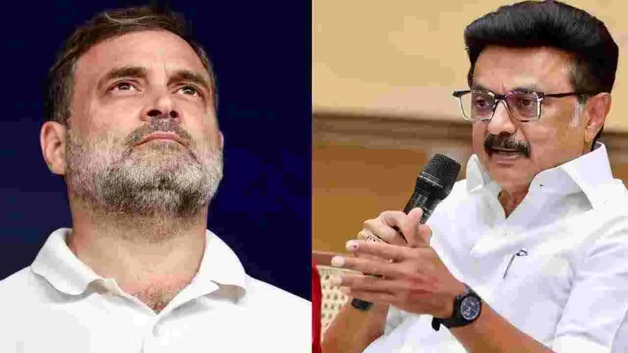 రాహుల్ ఓ పెద్ద జోక్, రాజకీయ పరిపక్వత లేదు.. డీఎంకే విమర్శల దాడి