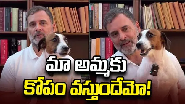 ఇలా చేసినందుకు మా అమ్మకు కోపం వస్తుందేమో: రాహుల్ గాంధీ