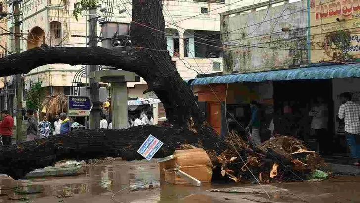 తడిసి ముద్దయిన నెల్లూరు నగరం