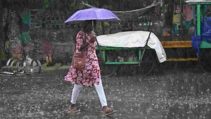 తడిసి ముద్దయిన నెల్లూరు నగరం