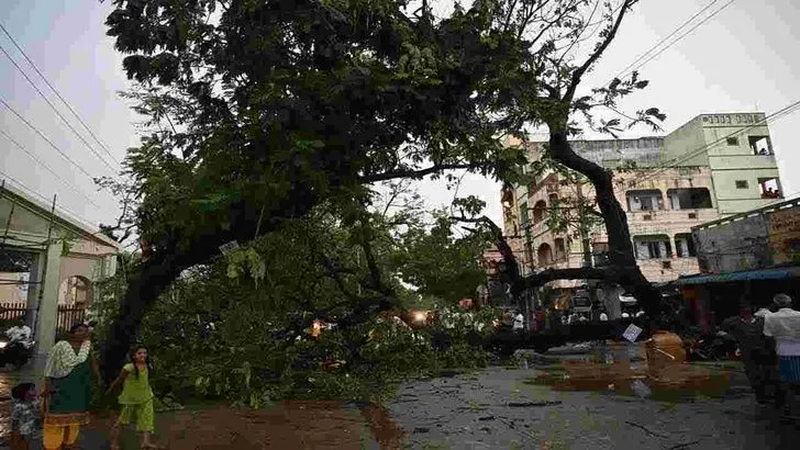 తడిసి ముద్దయిన నెల్లూరు నగరం