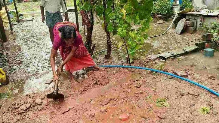 భూపాలపల్లి జిల్లాలో భారీ వర్షం.. 