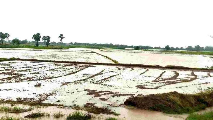 భూపాలపల్లి జిల్లాలో భారీ వర్షం.. 