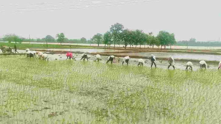 భూపాలపల్లి జిల్లాలో భారీ వర్షం.. 