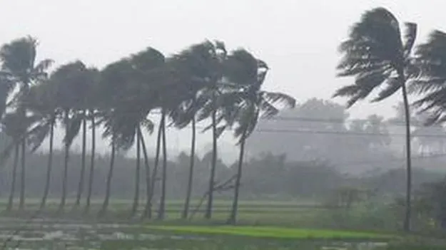అనకాపల్లి జిల్లాలో గాలివాన బీభత్సం.. ముగ్గురి మృతి..