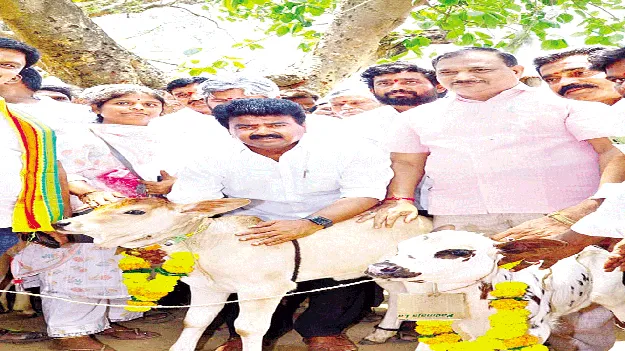 పశు సంపద అభివృద్ధికి చర్యలు