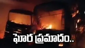 రాజస్థాన్‌లో ఘోర రోడ్డు ప్రమాదం.. ఏడుగురి సజీవదహనం