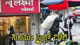 గాల్లో కాల్పులు.. జువెల్లరీ షాపులో సినీ ఫక్కీ దోపిడీ.. వైరల్ వీడియో