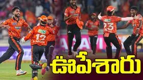 ఊపేశారు