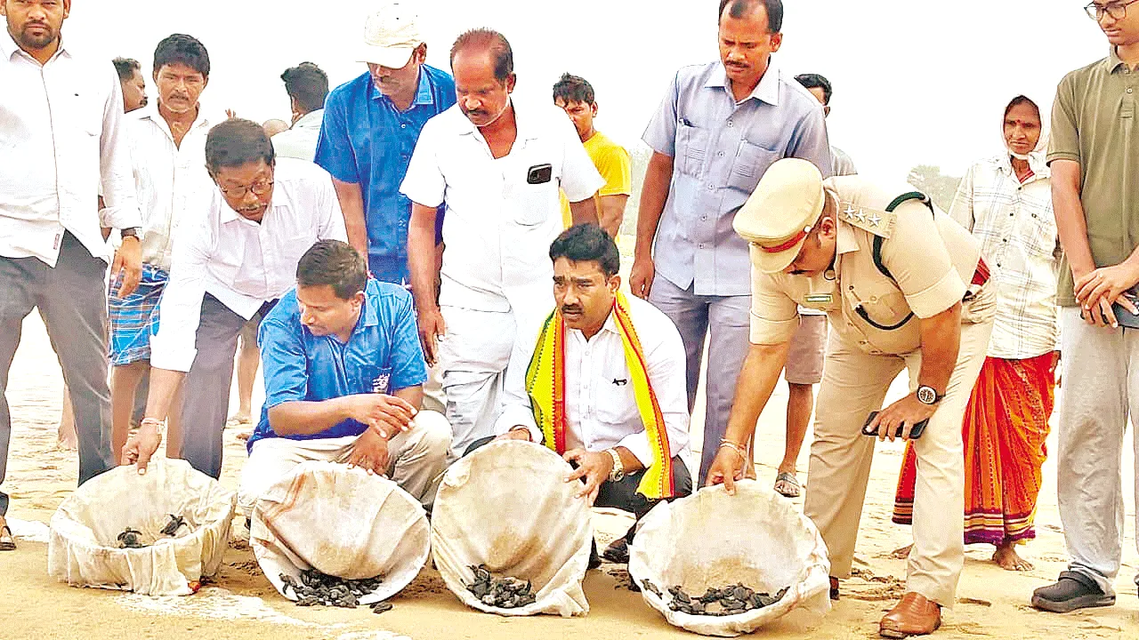 పర్యాటక కేంద్రంగా శ్రీకాకుళం తీరం